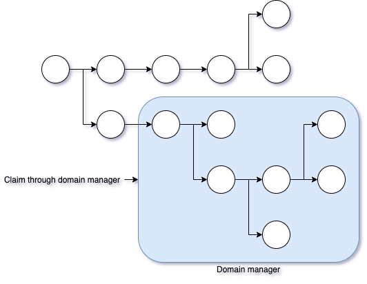 Directed acyclic graph with a domain manager